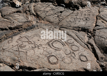 Incisioni rupestri a Waikoloa, Big Island delle Hawaii, STATI UNITI D'AMERICA Foto Stock