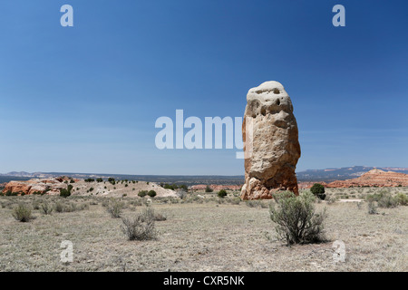 Chimney Rock tubazione di sabbia, Kodachrome Basin State Park, Utah, Stati Uniti d'America Foto Stock