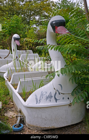 Fascino morboso di swan gondole, abbandonato Spreepark Berlin Amusement Park, precedentemente noto come Kulturpark Plaenterwald nel Foto Stock