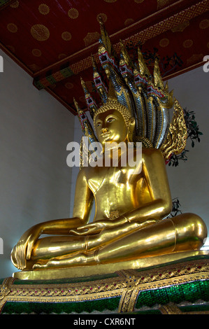 Golden statua del Buddha, Wat Pho e Wat Phra Chetuphon, il Tempio del Buddha Reclinato, Bangkok, Thailandia, Asia Foto Stock