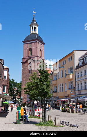 Chiesa di San Nicola, quartiere di Spandau, sala gotica chiesa di Berlino, Germania, Europa Foto Stock