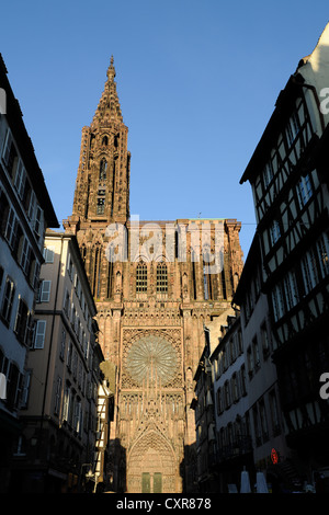 Portale principale, facciata ovest, la cattedrale di Strasburgo o la Cattedrale di Nostra Signora di Strasburgo, Cathédrale Notre-Dame-de-Strasburgo Foto Stock