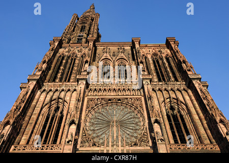 La facciata occidentale, la cattedrale di Strasburgo o la Cattedrale di Nostra Signora di Strasburgo, Cathédrale Notre-Dame-de-Strasburgo, Strasburgo Foto Stock