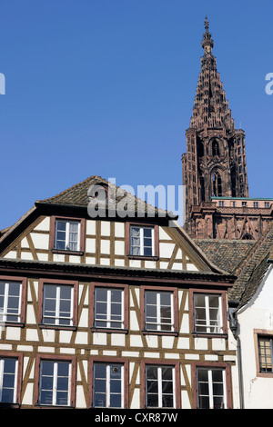 Casa in legno e muratura su Place du Marché Aux Cochons De Lait square, la cattedrale di Strasburgo o la Cattedrale di Nostra Signora di Foto Stock