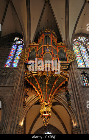 Organo nella navata centrale con le sue conserve di involucro gotico, navata, vista interna della cattedrale di Strasburgo, Cattedrale di Nostra Signora di Foto Stock