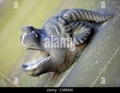 Ornamento, gargoyle sulla navata centrale, la cattedrale di Strasburgo, Cattedrale di Nostra Signora di Strasburgo, Strasburgo, dipartimento del Basso Reno Foto Stock