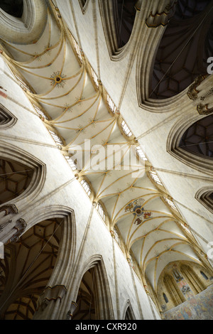 I soffitti a volta, vista del soffitto, chiesa, navata, vista interna, Ulmer Muenster, Ulm Minster, Ulm, Baden-Wuerttemberg Foto Stock