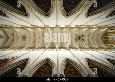 I soffitti a volta, vista del soffitto, chiesa, navata, vista interna, Ulmer Muenster, Ulm Minster, Ulm, Baden-Wuerttemberg Foto Stock