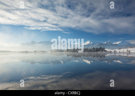 Early Morning mist sul Lago Hopfensee, Allgaeu, Baviera, Germania, Europa PublicGround Foto Stock