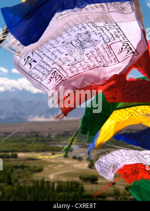 La preghiera buddista bandiere al vento, Ladakh India del nord, India, Asia Foto Stock