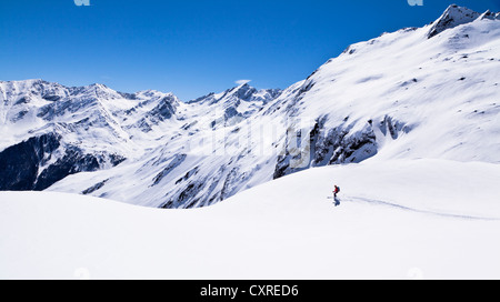 Sciatore femmina sciare sul Monte Zischgelesspitze, Zischgeles montagna, Alpi dello Stubai, Nord Tirolo Tirolo, Austria, Europa Foto Stock