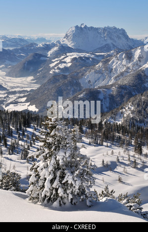 Vista della montagna Wilder Kaiser come visto dalla montagna di Steinplatte, Reit im Winkl, Chiemgau, Baviera, Germania, Tirolo, Austria Foto Stock