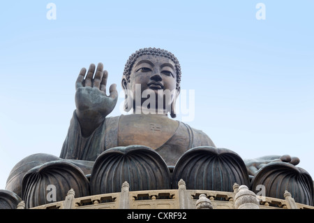 Grande statua del Buddha, il Monastero Po Lin, Isola di Lantau, Hong Kong, Cina, Asia Foto Stock