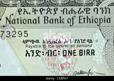 Banconota etiope - Uno Birr (2008) dettaglio Foto Stock