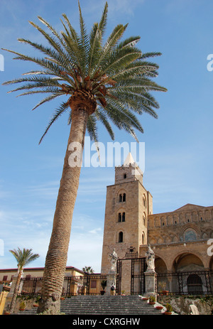 Cattedrale di Cefalù, Palm tree, Piazza Duomo, Cefalù, Sicilia, Italia, Europa Foto Stock