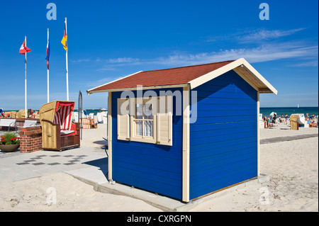 Capanna, affittare una tettoia in vimini sedia spiaggia, spiaggia, Groemitz, Mar Baltico, Schleswig-Holstein, Germania, Europa Foto Stock