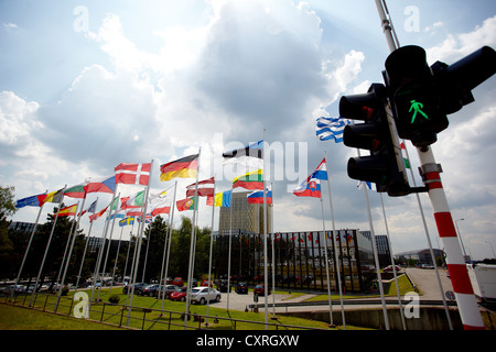 Il verde il semaforo di fronte alla bandiere nazionali degli Stati membri dell'Unione europea, edificio del Parlamento Foto Stock