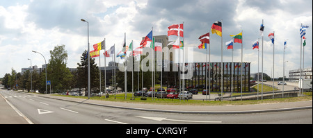 Le bandiere nazionali degli Stati membri dell'Unione europea davanti al palazzo della Commissione europea in Lussemburgo Foto Stock