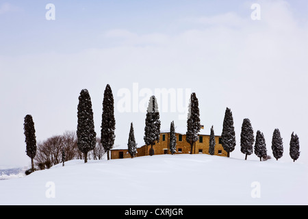 Agriturismo in un invernale paesaggio toscano, Pienza, Toscana, Italia, Europa, PublicGround Foto Stock