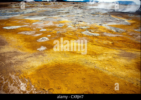 Area geotermica, Namafjall Hverir Islanda Foto Stock