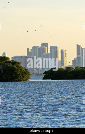 Complesso di abitazioni presso il monte Sinai Medical Center con piccole isole in primo piano, visto da di Morningside Park, Miami, Florida Foto Stock