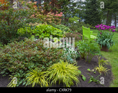 Giardino perenne con astillbe, foresta giapponese erba, hellebores, trillium, tulipani e sarcococca con un banco di Chartreuse Foto Stock