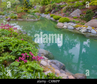 Vashon-Maury Island, WA: acqua salata piscina circondata dal bosco giardino perenne Foto Stock