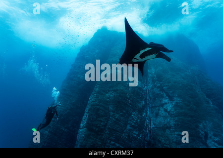 Scuba Diver, fotografo subacqueo a scattare foto di gigante Oceanic Manta Ray (Manta birostris), rocce sottomarine Foto Stock