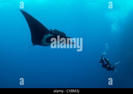 Scuba Diver, fotografo subacqueo a scattare foto di gigante Oceanic Manta Ray (Manta birostris), Roca Partida Foto Stock