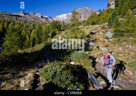 Escursionista durante la salita alla Hintere Eggenspitz montagna in Val d'Ultimo Weissbrunnsee sopra il lago, Alto Adige, Italia, Europa Foto Stock