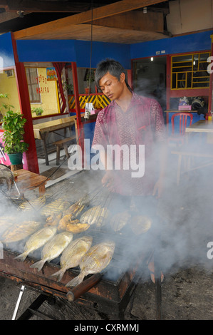 Essendo il pesce alla griglia, mercato del pesce in Kota Biak, Biak isola al largo dell'isola di Papua Nuova Guinea, Indonesia Asia sud-orientale, Asia Foto Stock