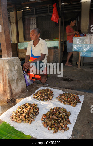 Lumache Marine per la vendita al mercato del pesce in Kota Biak, isola di Biak, Irian Jaya, Indonesia, Asia sud-orientale, Asia Foto Stock