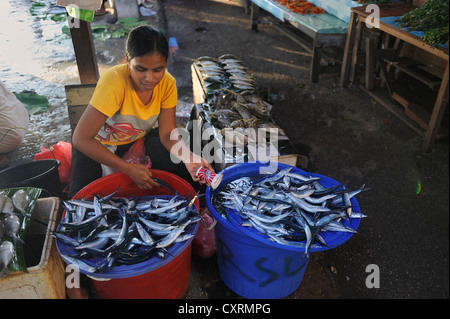 Donna di Papua la vendita del pesce al mercato del pesce di Biak, Kota Biak, isola di Biak, Irian Jaya, Indonesia, Asia sud-orientale, Asia Foto Stock