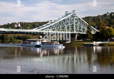 Ponte Loschwitz, noto anche come meraviglia blu, Blasewitz, Loschwitz, Dresda, Sassonia, Germania, Europa PublicGround Foto Stock