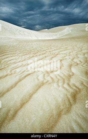 Dune di Cactus Beach sotto nuvole scure. Foto Stock