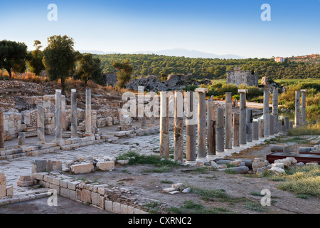 Colonne, strade colonnate dell antica città di Patara, Lycian coast, Lycia, Turchia Foto Stock