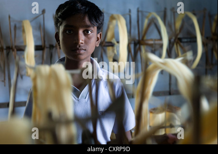 Bambino operaio lavorando in una zanzariera fabbrica, Karur, Sud India, India, Asia Foto Stock