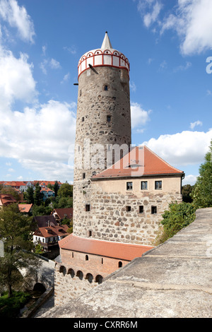 Antico Acquedotto, Bautzen, Budysin, Lusazia, Alta Lusazia sassone, Germania, Europa PublicGround Foto Stock