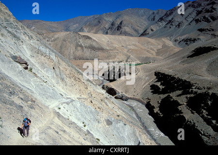 Donna escursioni attraverso un deserto-come il paesaggio a Purni, Zanskar, Ladakh Himalaya indiano, Jammu e Kashmir India del Nord, India Foto Stock