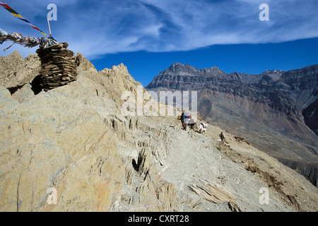 Bandiere di preghiera, pass, Hanuma-La o Hanuma Pass, vicino a Lingshed, Zanskar, Ladakh, Jammu e Kashmir India del Nord, India Foto Stock