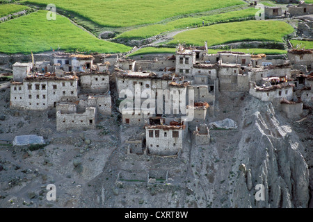 I campi e le case, villaggio di Photoksar o Photaksar, Zanskar, Ladakh, Jammu e Kashmir India del Nord, India, Himalaya indiano Foto Stock