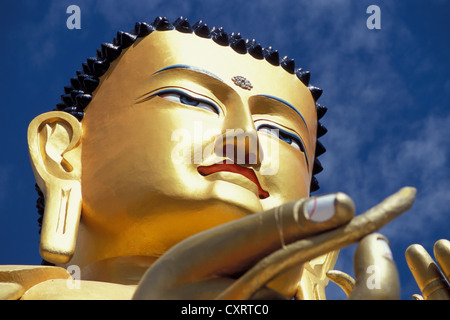 Maitreya, capo di una grande statua di Buddha ricoperta con foglia oro, Likir Monastero, Ladakh, Jammu e Kashmir India del Nord, India Foto Stock