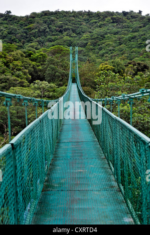 Ponte di sospensione nella foresta nuvolosa, Selvatura Park, Monteverde, provincia di Alajuela, Costa Rica, America Centrale Foto Stock