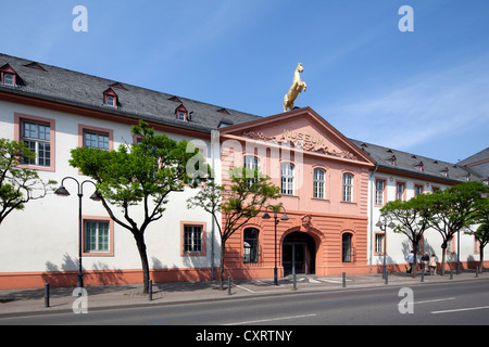 Landesmuseum Mainz, Medio Reno Museo Statale, ex Caserma Golden-Ross, Mainz, Renania-Palatinato, PublicGround Foto Stock