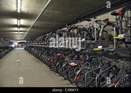 Garage per biciclette al Bahnhof Pasing stazione ferroviaria, Bavaria Foto Stock