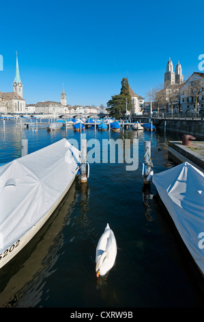 Barche sul fiume Limmat, quartiere storico di Zurigo con Johanneskirche, Chiesa di San Pietro e la chiesa Grossmuenster Foto Stock