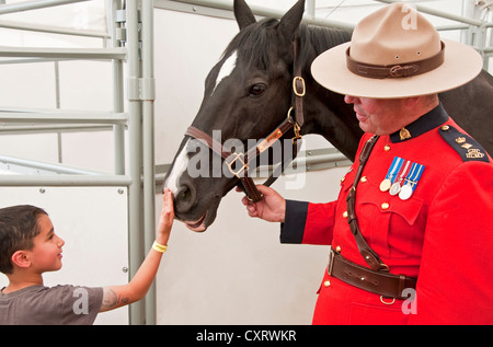 Giovane uomo incontro Hector, Royal Canadian polizia montata a cavallo e in maneggio a Calgary Stampede 2012. Foto Stock