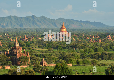 Campo pagoda, pagode buddiste, Old Bagan, pagano, Bagan, MYANMAR Birmania, Asia sud-orientale, Asia Foto Stock