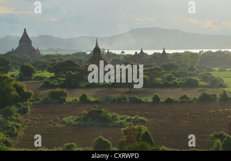 Fumo, nebbia nella luce della sera tra i campi, templi e pagode, Tempio di Ananda e Thatbyinnyu Temple, Bagan, Myanmar Foto Stock