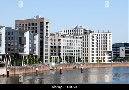 Edifici per uffici su Westhafen-Pier, Torhaus edificio e Werfthaus edificio, Westhafen distretto, Frankfurt am Main, Hesse Foto Stock